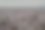 鱼骨头海滩图片下载