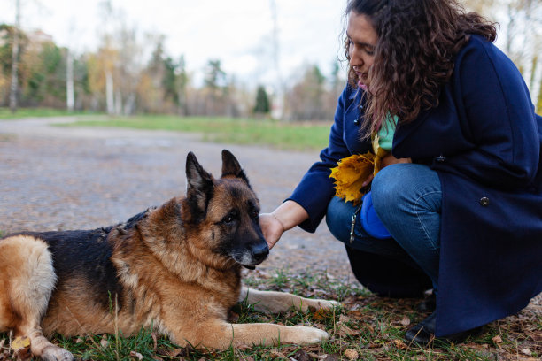 一位年轻的成年妇女在公园里牵着她的德国牧羊犬散步图片下载