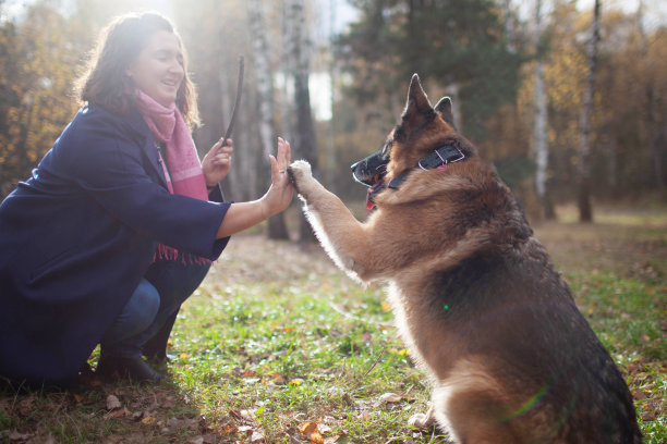 一位年轻的成年妇女在公园里牵着她的德国牧羊犬散步图片下载
