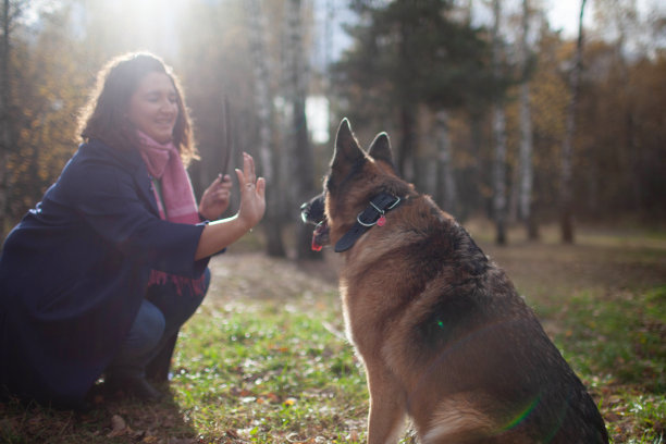 一位年轻的成年妇女在公园里牵着她的德国牧羊犬散步图片下载