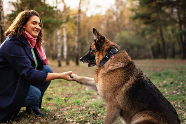 一位年轻的成年妇女在公园里牵着她的德国牧羊犬散步图片下载