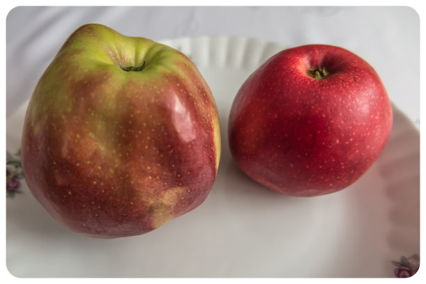 盘子上有两个苹果。图片下载