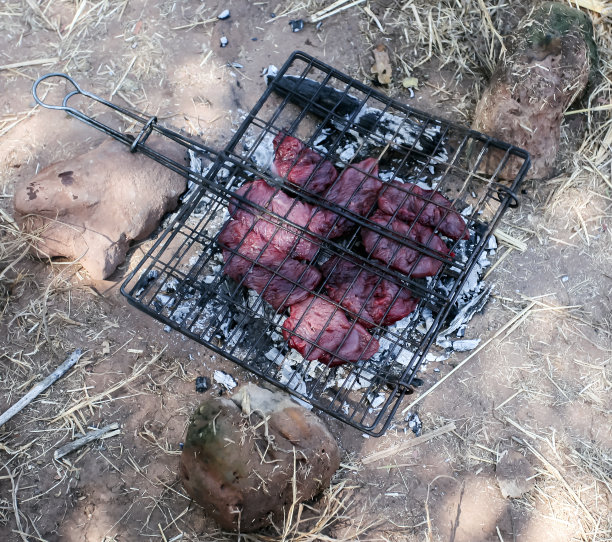 野肉在金属烤架上用炭烤。图片下载
