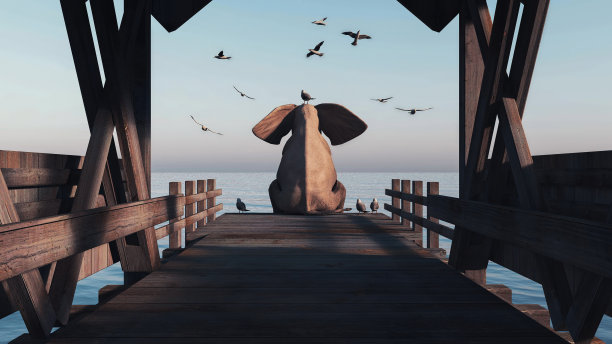 大象坐在浮桥上，海鸥在旁边。这是一个3d渲染图。图片下载