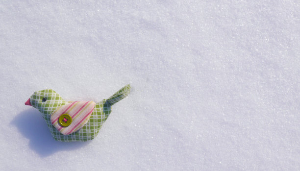 大自然在白雪上用蓬松的芦苇拍摄纺织鸟。图片下载