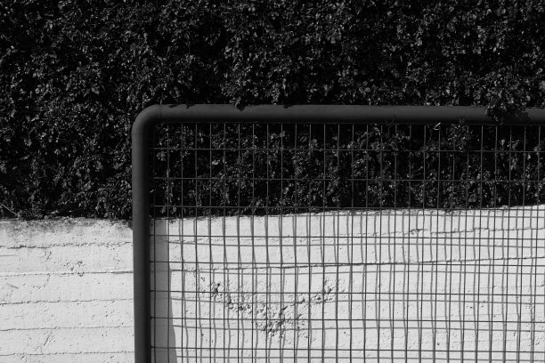 金属栅栏植物和混凝土墙图片下载