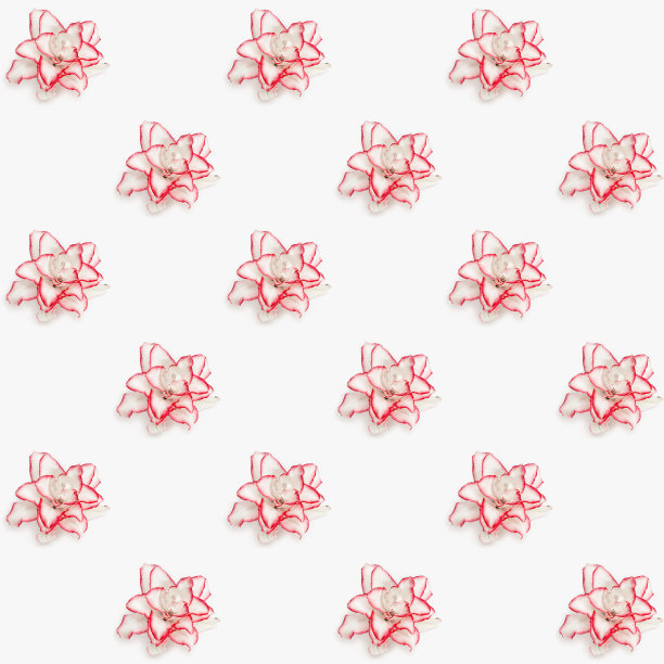 无缝图案，白色百合花与红色边框，牡丹百合在光的背景。天然花卉平铺图片下载