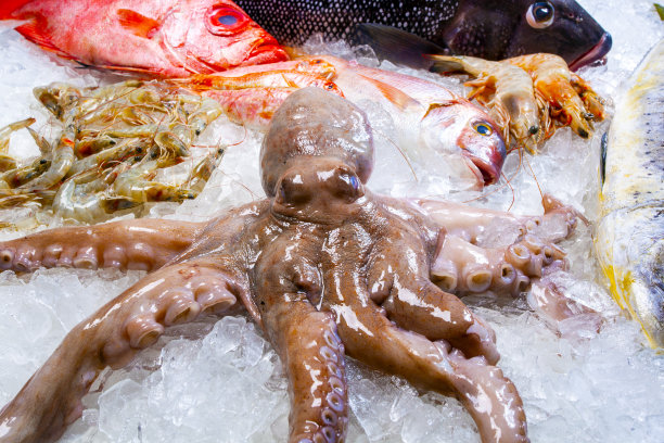 鱼市场里的冰海鲜图片下载