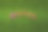快乐文字上一片绿草。图片下载
