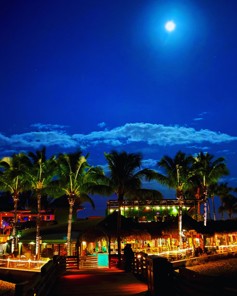 棕榈树的月亮图片下载