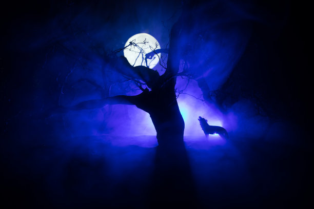 在满月和死林的地平线上，狼嚎的剪影。创意艺术品装饰。图片下载