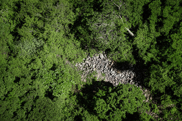 从上往下看，阿根廷萨尔塔森林中的河床图片下载