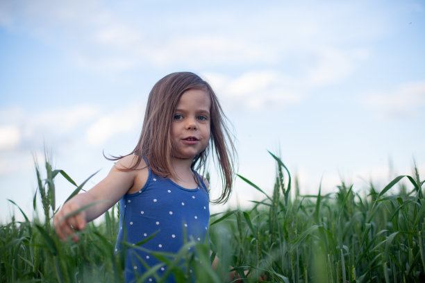 快乐的姑娘走在绿色的麦田里，享受着田野里的生活。大自然的美丽，蓝天和麦田。自由的概念图片下载