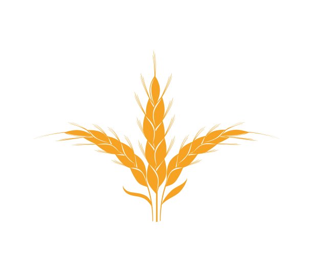 农业小麦图标矢量插图设计模板图片下载