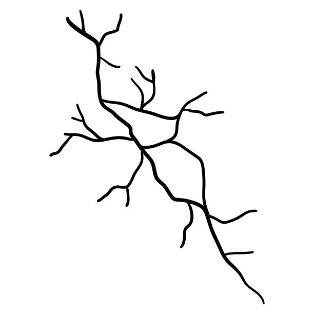 金杉黑色轮廓孤立在白色背景上图片下载