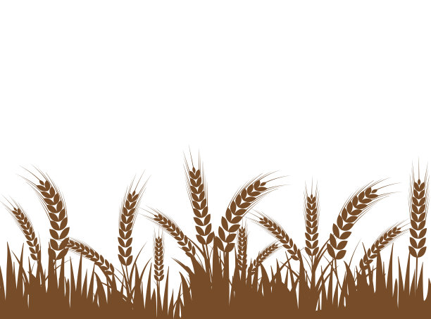 农业小麦图标矢量插图设计模板图片下载