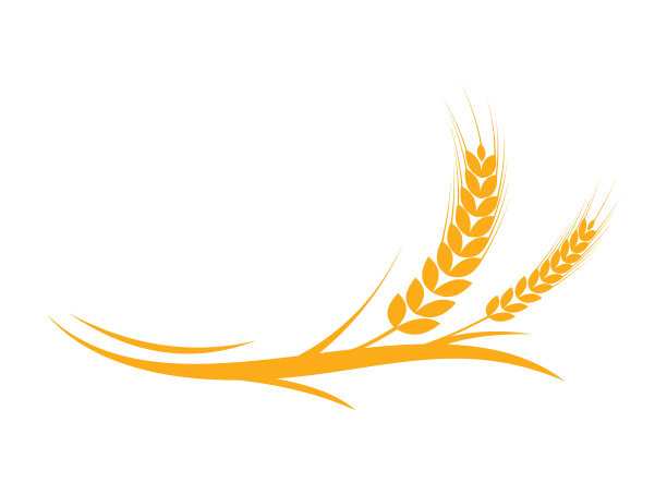 农业小麦图标矢量插图设计模板图片下载