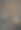 狗的风格图片下载