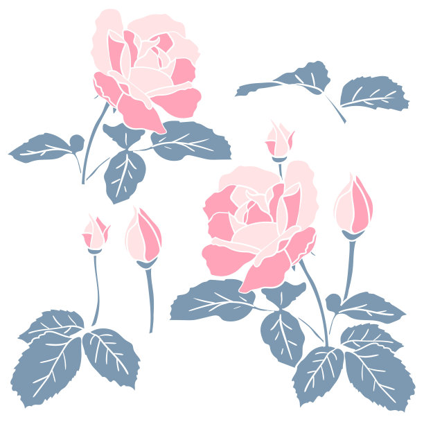 带叶和花蕾的粉红色玫瑰。简单的平面剪影与白色轮廓精致的花园花剪辑艺术标志或贺卡。股票矢量插图孤立在白色背景图片下载