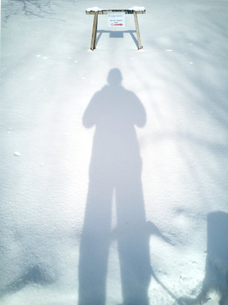 温特曼图片下载