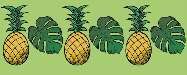 旁边是菠萝和怪兽树叶的果实图片下载