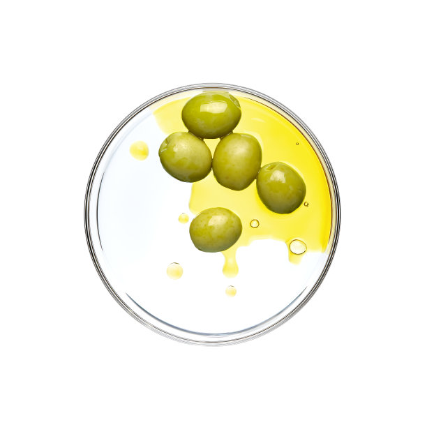 绿色的橄榄和油在培养皿上，白色背景图片下载