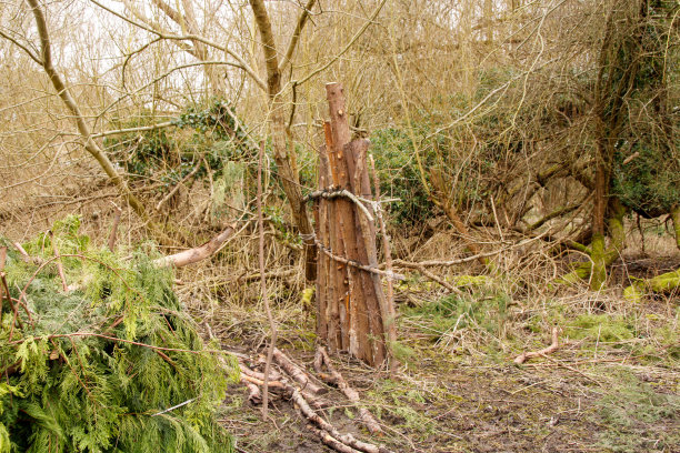 这是一个野外生存避难所的遗迹图片下载