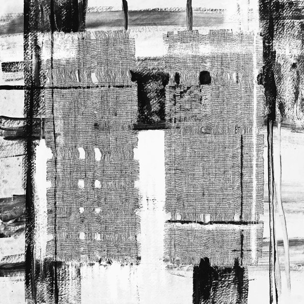 抽象插图黑白织物贴花。种族背景图片下载