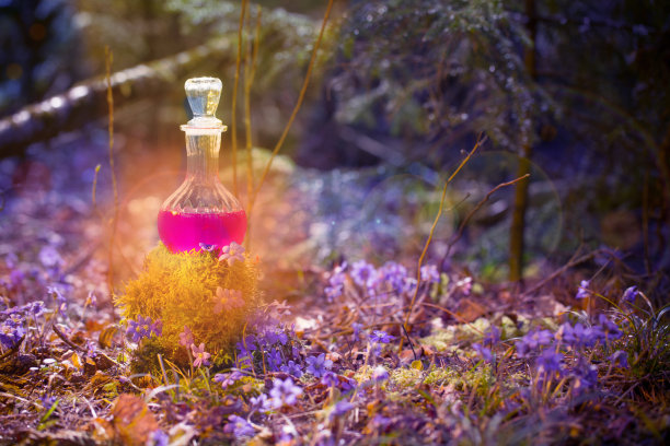 魔法药水在瓶子在精灵森林图片下载