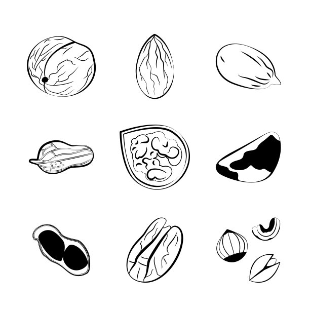 矢量手绘插图与不同的坚果图片下载