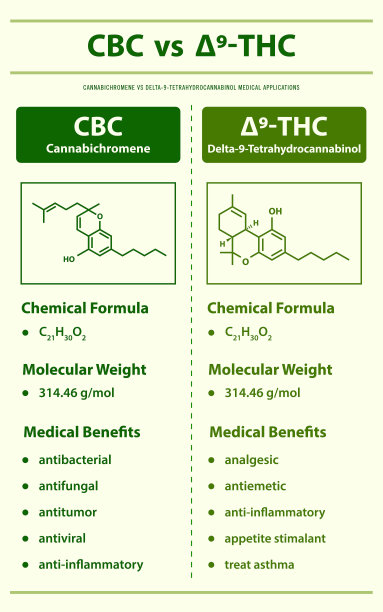 CBC vs 9- thc, Cannabichromene vs Delta 9 Tetrahydrocannabinol垂直信息图图片下载
