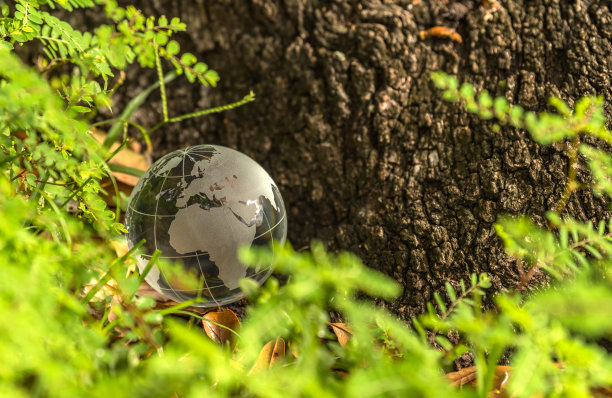 回到大自然图片下载