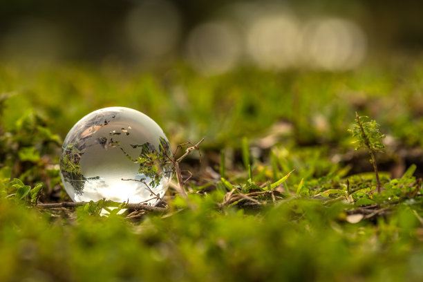 回到大自然图片下载