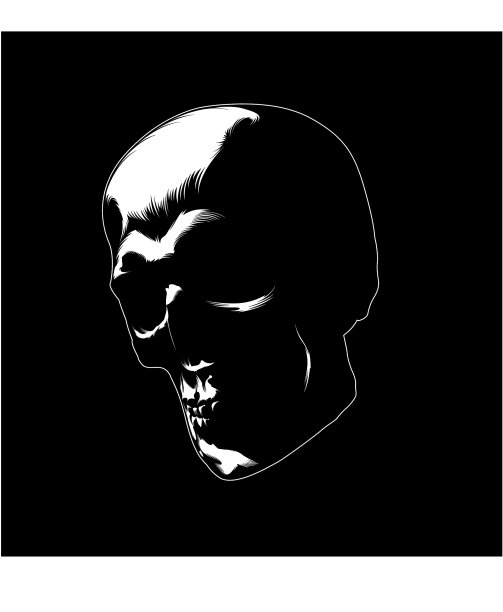 颅骨图像图片下载