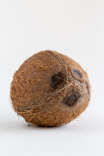 热带水果整个椰子，孤立在白色上热带水果整个椰子，孤立在白色上图片下载