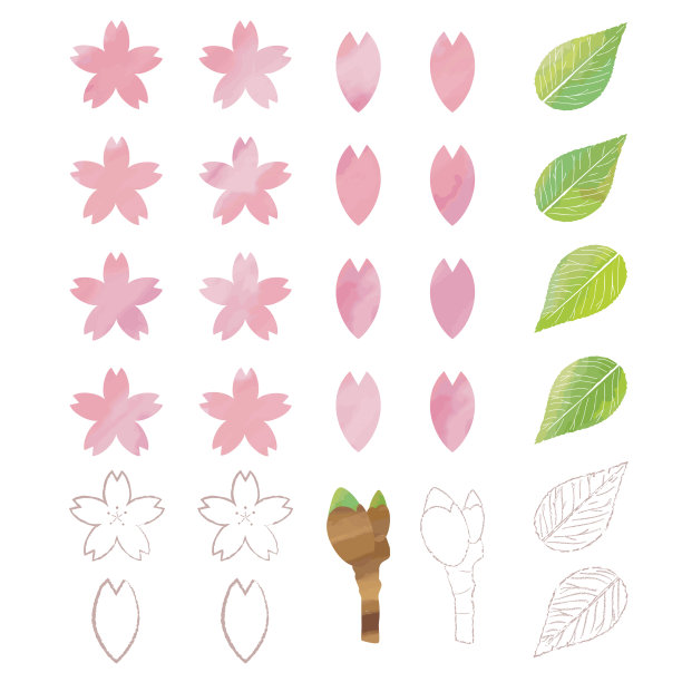 樱花-春天的设计-矢量插图-樱花图片下载