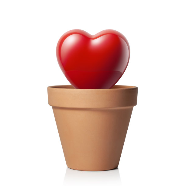 花盆中的心图片下载
