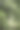 丘比特植物抱着盆花站在花园凹室藤蔓和更多的花靠近乡村墙。图片下载