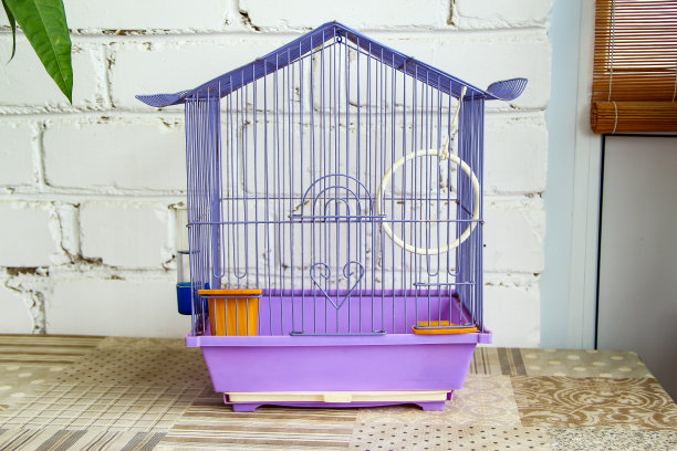 在砖墙背景上的公寓空鸟笼图片下载