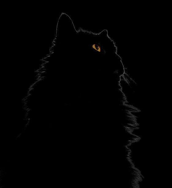 缓存聊天图片下载