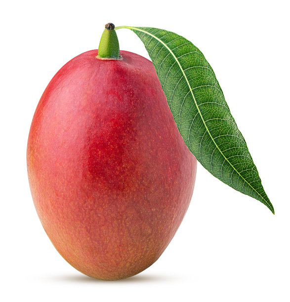 带有叶子的芒果图片下载