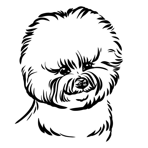 图像比森狗在白色的背景图片下载