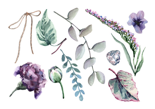 薰衣草，三色堇，康乃馨，桉树，秋海棠叶，宝石，蝴蝶结。水彩手绘在一个白色的背景。图片下载