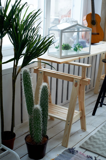 简约风格的室内设计，白色的墙壁、窗帘和地板。很多绿色植物和仙人掌。房间里的绿色区域图片下载