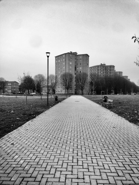 的路上图片下载