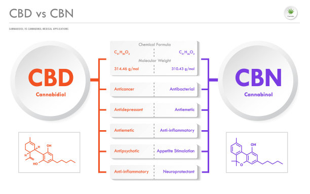 CBD vs CBN, Cannabidiol vs Cannabinol横向商业信息图图片下载