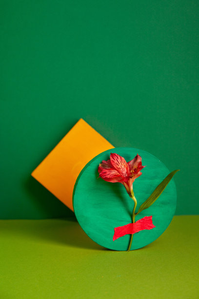 绿色画室里的鲜紫花和黄色的便利贴组成素材图片