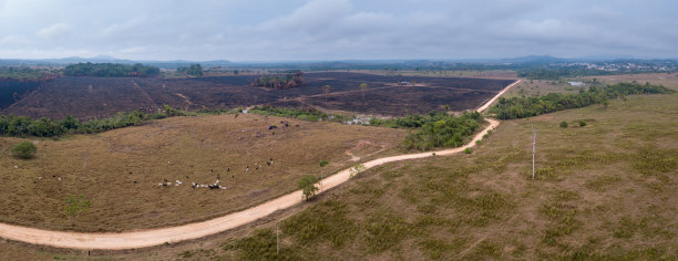 全景无人机鸟瞰亚马逊雨林的毁林情况，非法森林火灾为牧场烧牛，土路。生态、环境、农业、畜牧业、气候等概念。图片下载