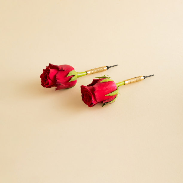 在米色背景上以红色花朵作省道的创意布置。最小性质或游戏概念。图片下载