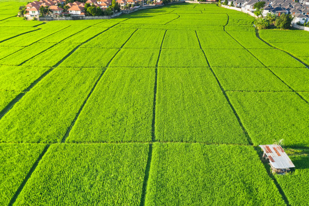 航拍地块和绿地。图片下载